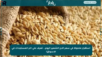 استقرار ملحوظ في سعر الأرز الشعير اليوم.. تعرف على آخر المستجدات في الأسواق!